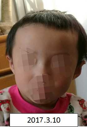 美女的逼被操